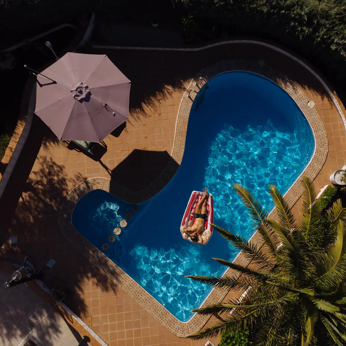 ריף בריכות שחייה